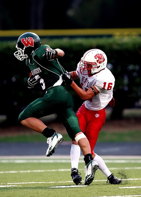 理解和协调 理解和协调